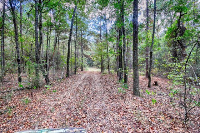 TBD Windy Oaks, Huntsville, TX 77320