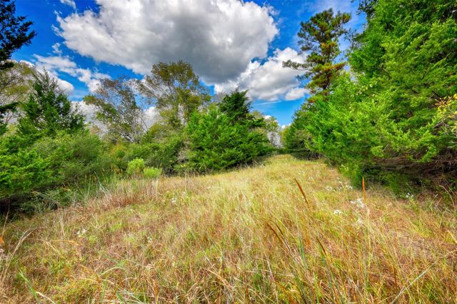 TBD Windy Oaks, Huntsville, TX 77320