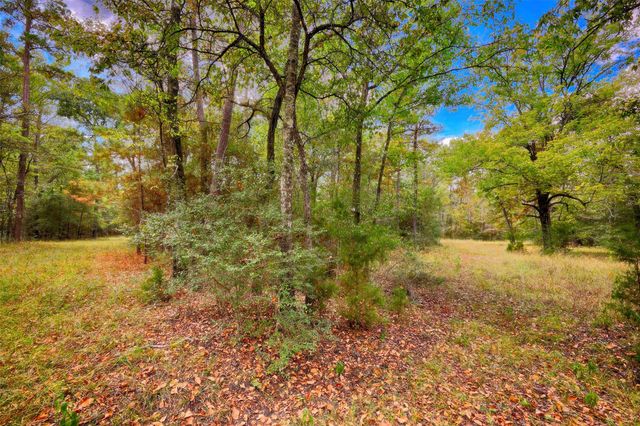 TBD Windy Oaks, Huntsville, TX 77320