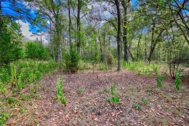 TBD Windy Oaks, Huntsville, TX 77320