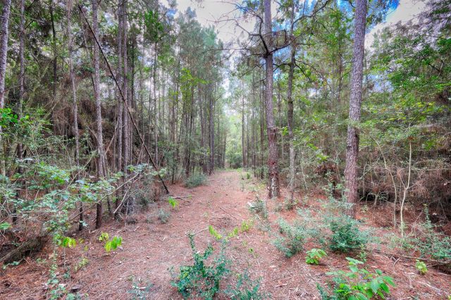 TBD Windy Oaks, Huntsville, TX 77320