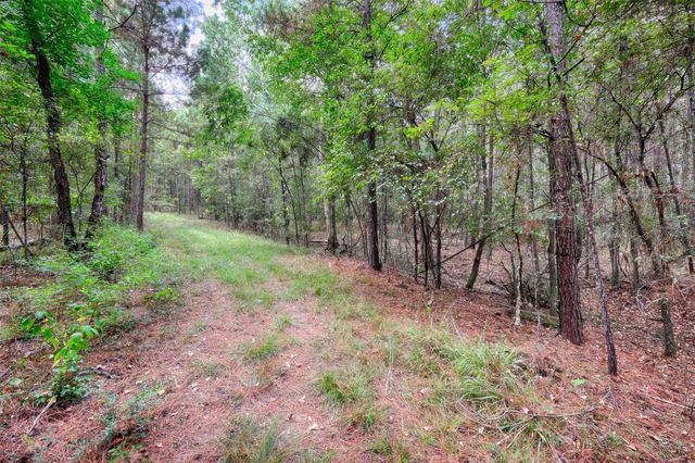 TBD Windy Oaks, Huntsville, TX 77320