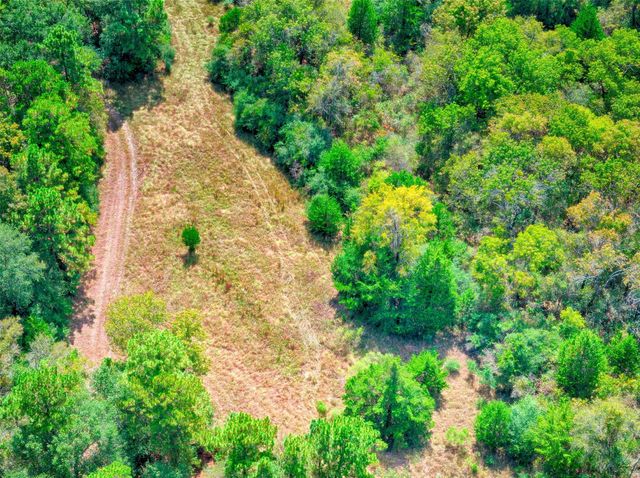 TBD Windy Oaks, Huntsville, TX 77320