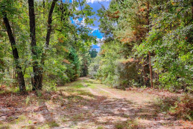 TBD Windy Oaks, Huntsville, TX 77320