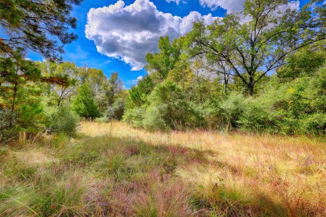 TBD Windy Oaks, Huntsville, TX 77320