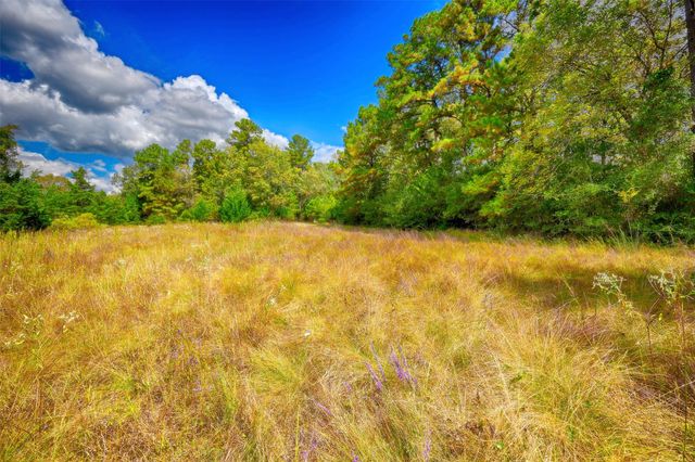 TBD Windy Oaks, Huntsville, TX 77320