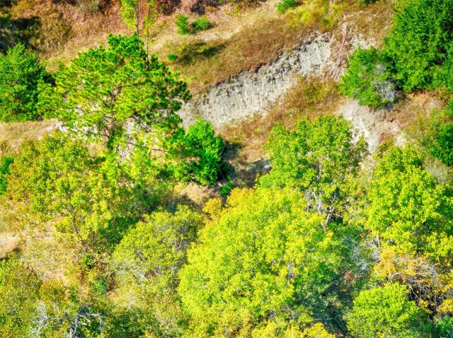 TBD Windy Oaks, Huntsville, TX 77320