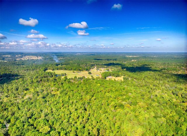 TBD Windy Oaks, Huntsville, TX 77320