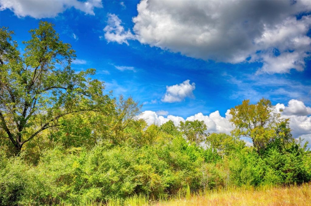 TBD Windy Oaks, Huntsville, TX 77320