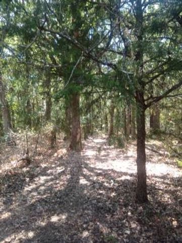 1226 Hcr 1425, Covington, TX 76636