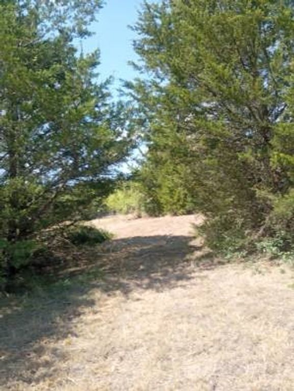 1226 Hcr 1425, Covington, TX 76636