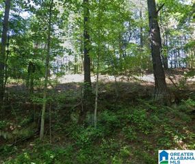 0 KIOWA ROAD, Pinson, AL 35130