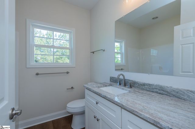 711 Hidden Falls Drive, West Union, SC 29696