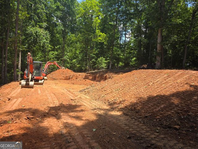 0 Watkins Road, Blue Ridge, GA 30513