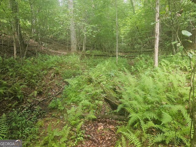 0 Watkins Road, Blue Ridge, GA 30513