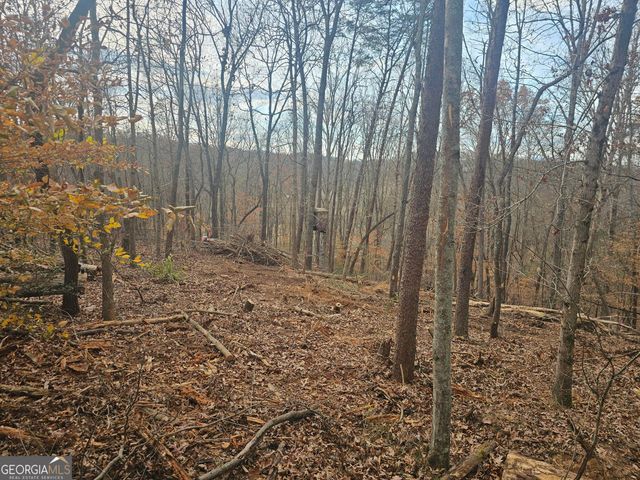 0 Watkins Road, Blue Ridge, GA 30513
