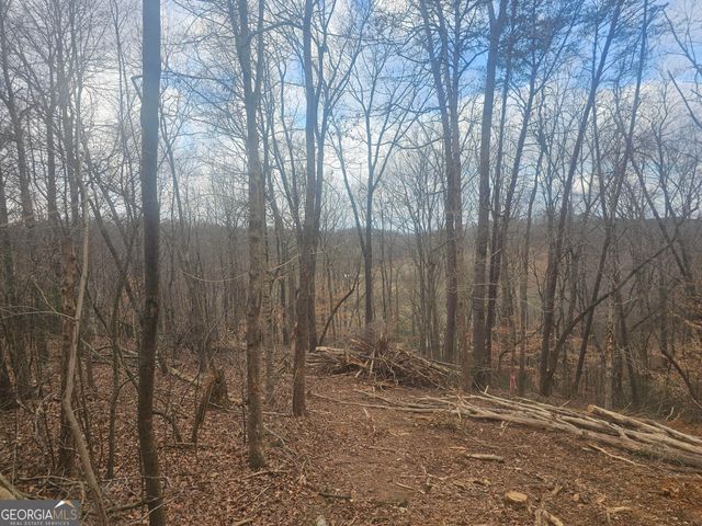 0 Watkins Road, Blue Ridge, GA 30513