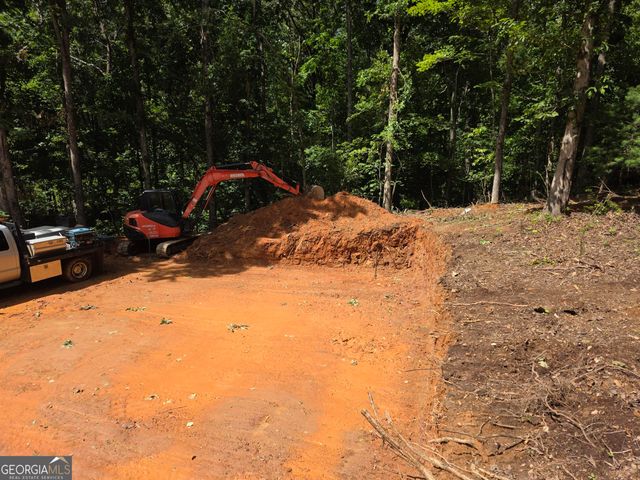 0 Watkins Road, Blue Ridge, GA 30513