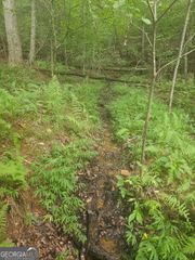 0 Watkins Road, Blue Ridge, GA 30513