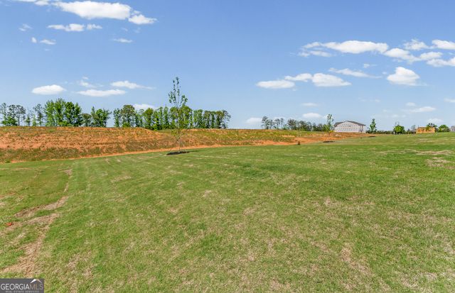 636 Vidalia Park Way, Mcdonough, GA 30252