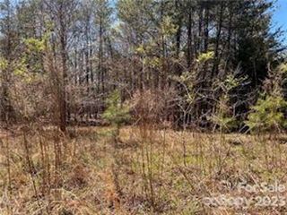 0000 Elliott Lane #45 & 48, Rutherfordton, NC 28139