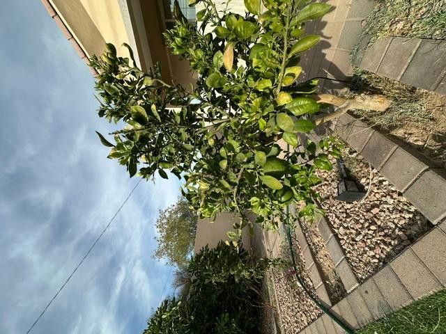 6830 N 14th Street, Phoenix, AZ 85014