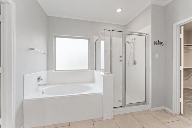 28938 Grand Teton Court, Katy, TX 77494