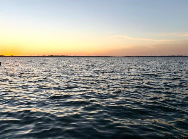 20848 Bay Shore Dr, Flint, TX 75762