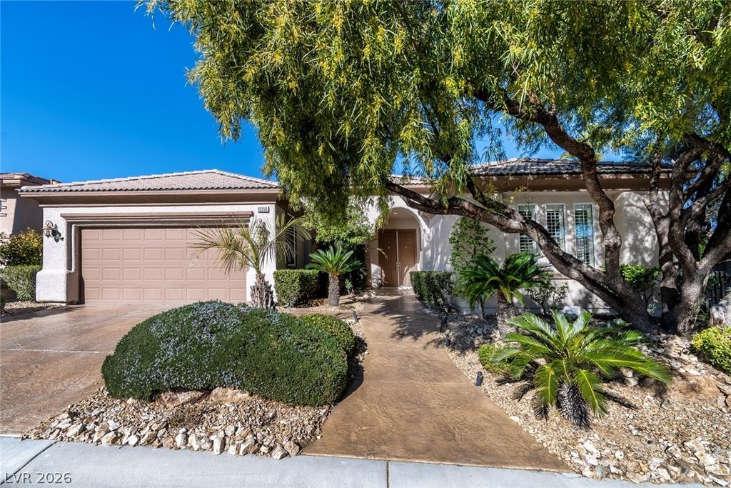 10356 Luna Magico Avenue, Las Vegas, NV 89135 — exterior