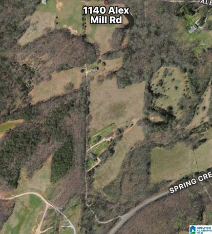 1140 ALEX MILL ROAD, Montevallo, AL 35115