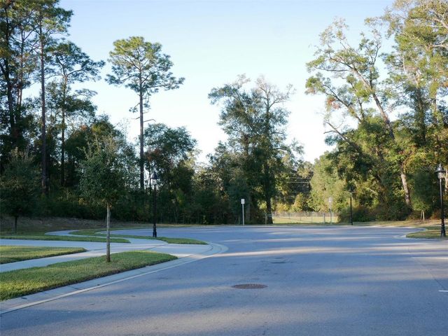 505 LADY IRELYN COURT, Deland, FL 32724