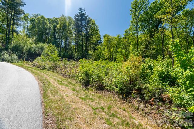 33 Bent Branch Lane, Asheville, NC 28804