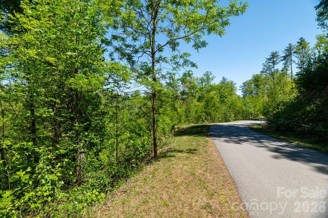 33 Bent Branch Lane, Asheville, NC 28804