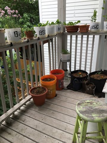 15 Quincy St 3, Somerville, MA 02143