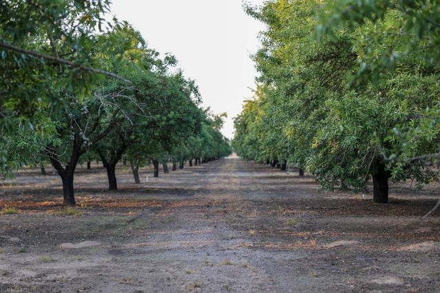 2591 Giannini Rd, Atwater, CA 95301