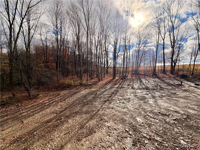 6864 Simmons Road, Ellicottville, NY 14731