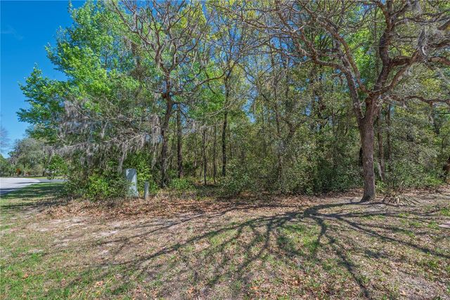 1 PINE STREET, Homosassa, FL 34446