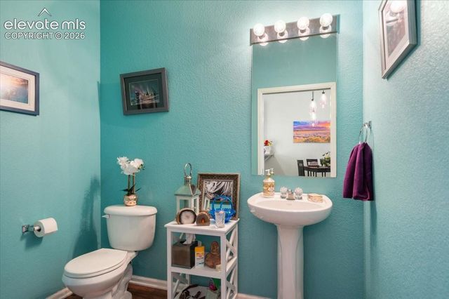 4909 Black Vulture Grove, Colorado Springs, CO 80916