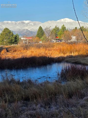 4909 Black Vulture Grove, Colorado Springs, CO 80916