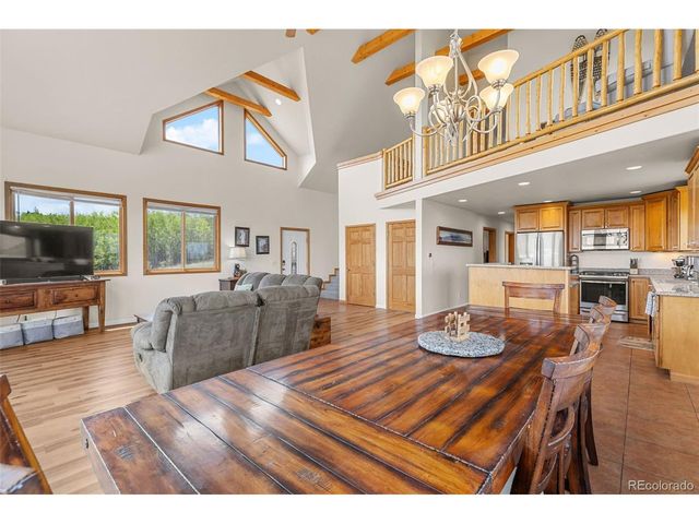 566 Palmer Peak Dr, Fairplay, CO 80440
