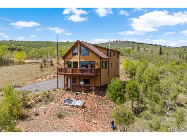 566 Palmer Peak Dr, Fairplay, CO 80440