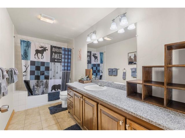 566 Palmer Peak Dr, Fairplay, CO 80440
