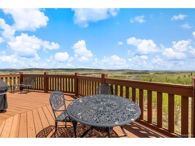 566 Palmer Peak Dr, Fairplay, CO 80440