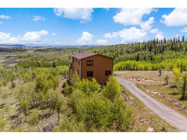 566 Palmer Peak Dr, Fairplay, CO 80440