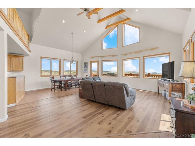 566 Palmer Peak Dr, Fairplay, CO 80440