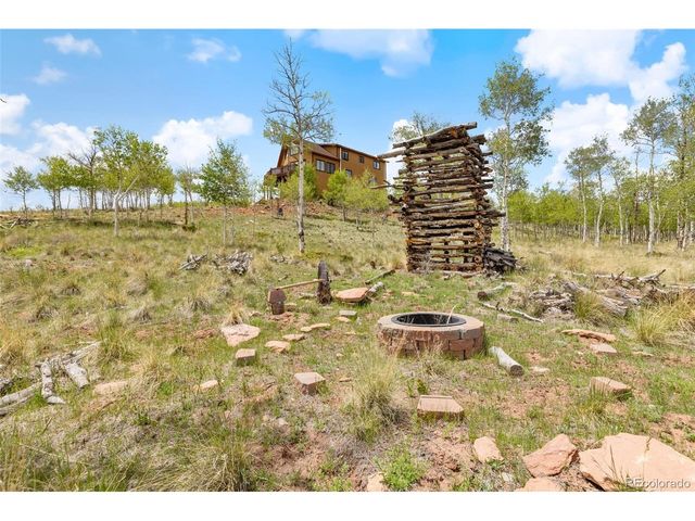 566 Palmer Peak Dr, Fairplay, CO 80440