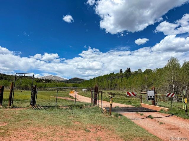 566 Palmer Peak Dr, Fairplay, CO 80440