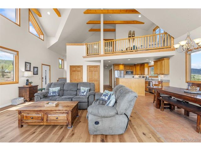 566 Palmer Peak Dr, Fairplay, CO 80440