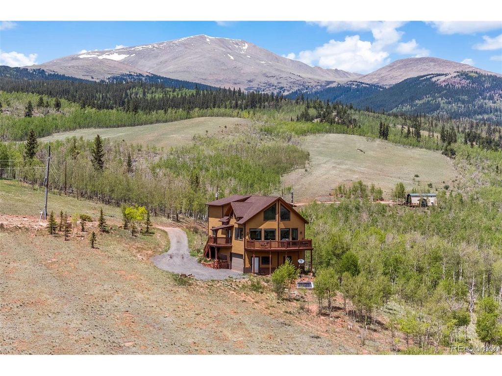 566 Palmer Peak Dr, Fairplay, CO 80440