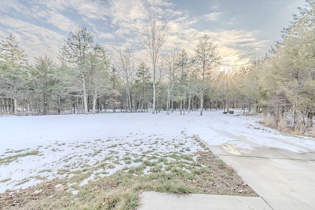 180 Coon Creek Farms Drive, Kirbyville, MO 65679